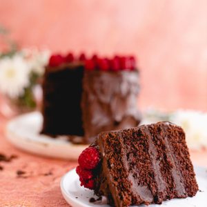 Vegan Chocolate Berry Cake
