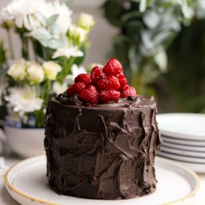 Vegan Chocolate Berry Cake